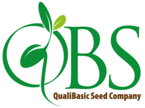 QBS-logo-Colour-Codes