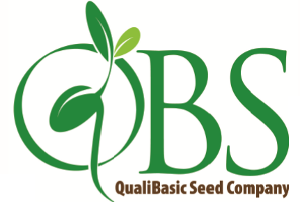 QauliBasic Seed Company
