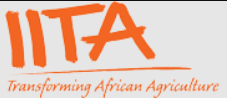 International Institute for Tropical Agriculture (IITA) 